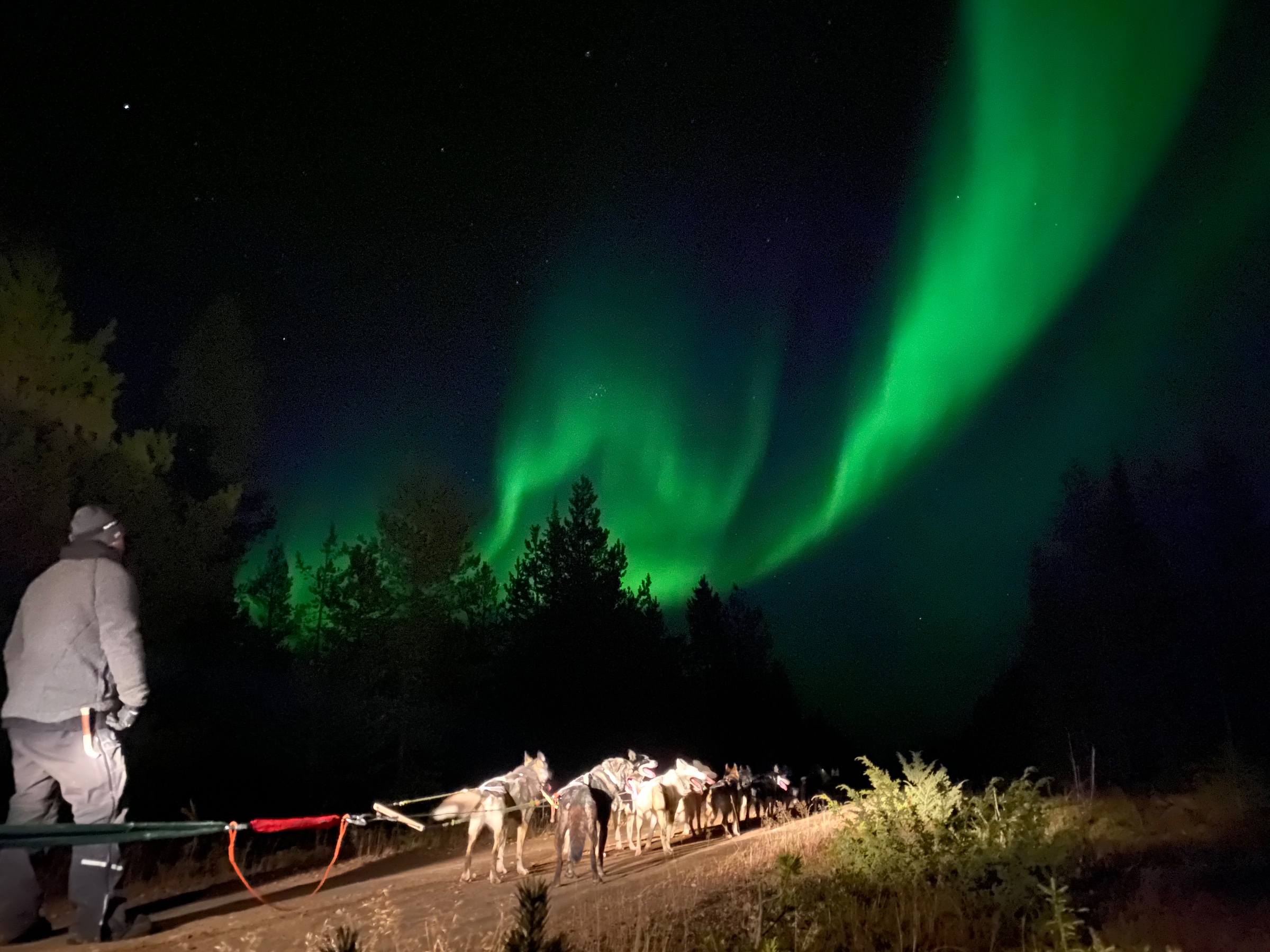 Northern lights